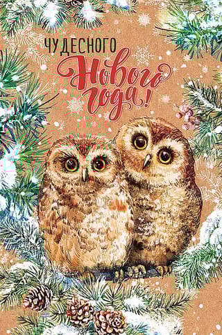 Открытка. Чудесного Нового года! Совы с еловыми шишками