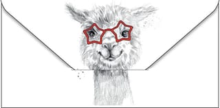 Конверт для денег. Лама в очках