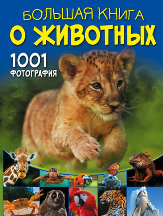 Большая книга  о животных. 1001 фотография
