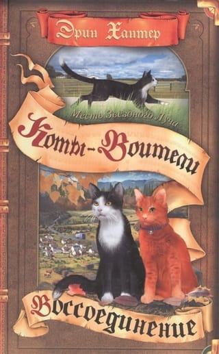 Месть Звездного Луча. Книга 2. Воссоединение