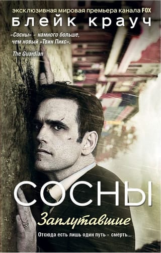 Сосны.  Заплутавшие