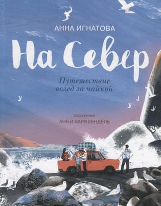 На Север. Путешествие вслед за чайкой