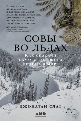 Совы  во льдах: Как спасали самого большого филина в мире