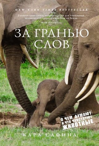 За гранью слов: О чем думают и что чувствуют животные
