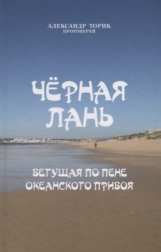 Черная лань, бегущая по пене океанского прибоя