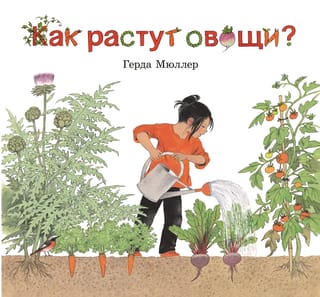 Как растут овощи?