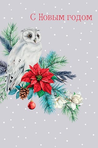 Открытка. С Новым Годом. Сова на ветке