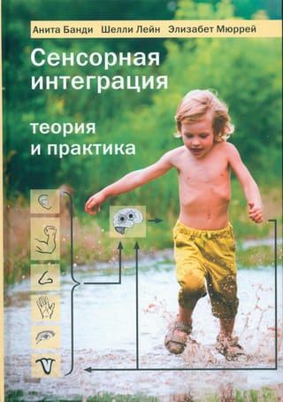 Сенсорная интеграция. Теория и практика