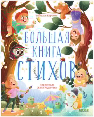Большая  книга стихов