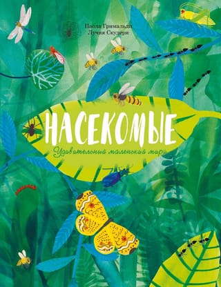 Насекомые.  Удивительный маленький мир