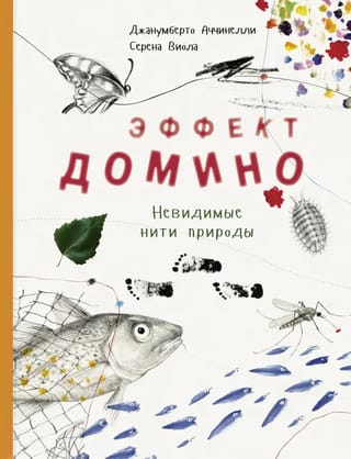 Эффект  домино. Невидимые нити природы