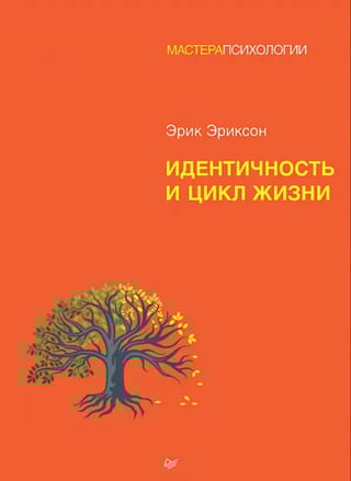 Идентичность  и цикл жизни