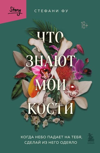 Что знают мои кости.  Когда небо падает на тебя, сделай из него одеяло