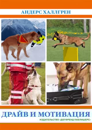 Драйв и мотивация
