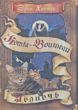 Новое пророчество. Книга 1. Полночь