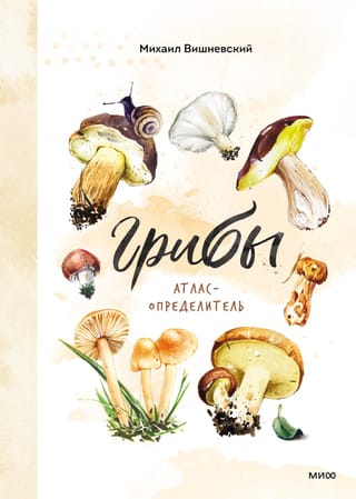 Грибы.  Атлас-определитель