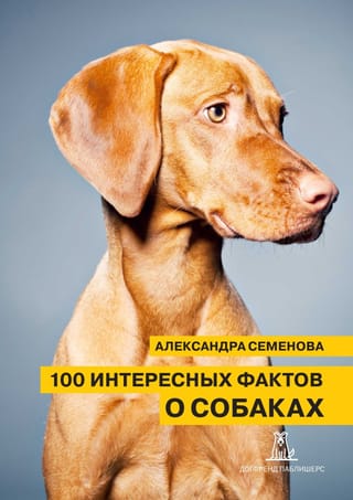 100
  интересных фактов о собаках