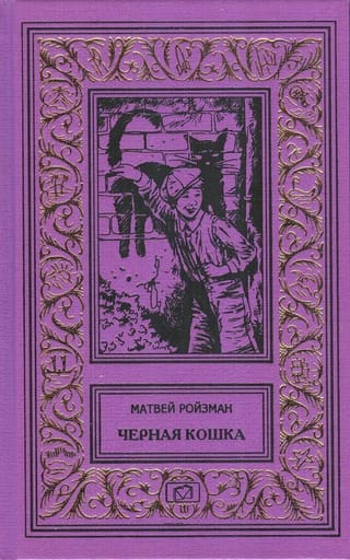 Черная  кошка