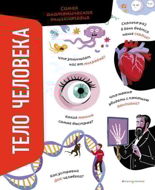 Тело человека. Самая  анатомическая энциклопедия