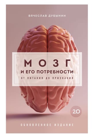 Мозг и его  потребности 2.0. От питания до признания