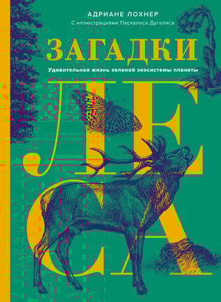 Загадки леса.  Удивительная жизнь зеленой экосистемы планеты