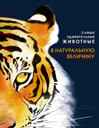 Самые удивительные  животные в натуральную величину