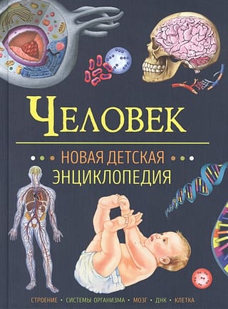 Человек.  Новая детская энциклопедия