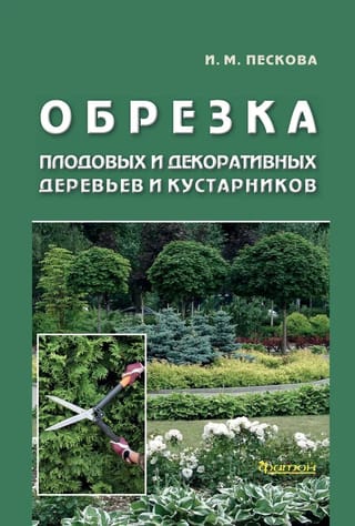 Обрезка плодовых  и декоративных деревьев и кустарников
