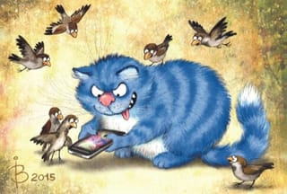 Открытка.  Синие коты. Кот-игроман