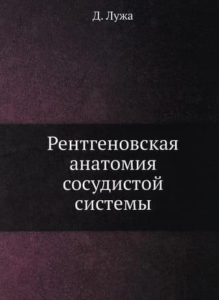 Рентгеновская  анатомия сосудистой системы