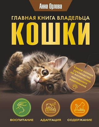Главная книга владельца кошки