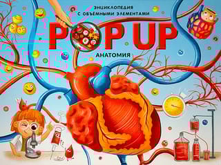Анатомия. Книжка-панорамка