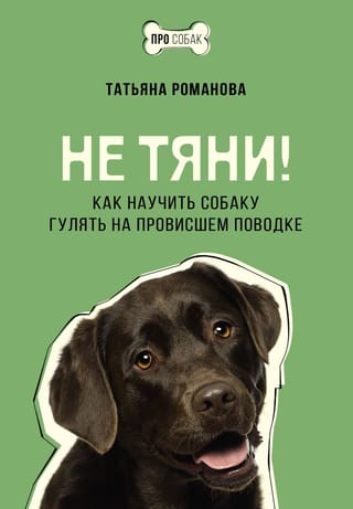 Не тяни! Как научить собаку гулять на провисшем поводке