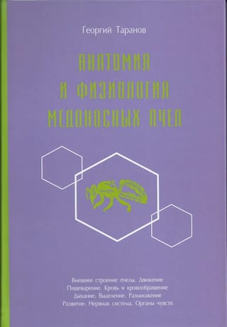 Анатомия и физиология медоносных пчел