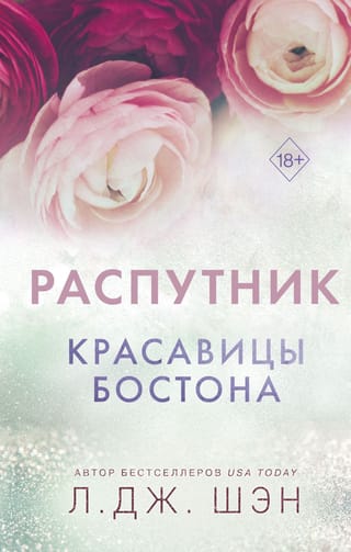 Красавицы Бостона. Книга 4. Распутник
