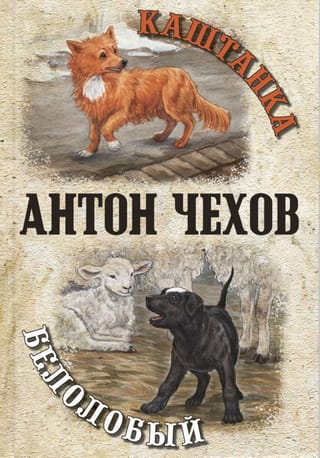 Каштанка. Белолобый