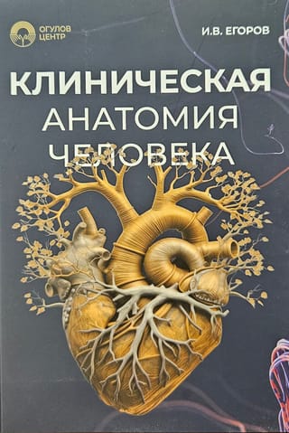 Клиническая анатомия человека