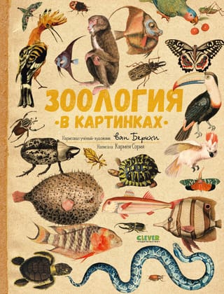 Зоология в картинках