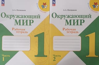 Окружающий мир. 1 класс. Рабочая тетрадь. В 2 частях
