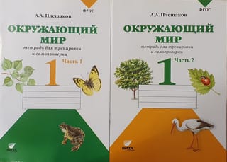 Окружающий мир. 1 класс. Тетрадь для тренировки и самопроверки. В 2 частях