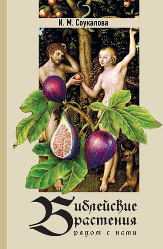 Библейские растения рядом с нами