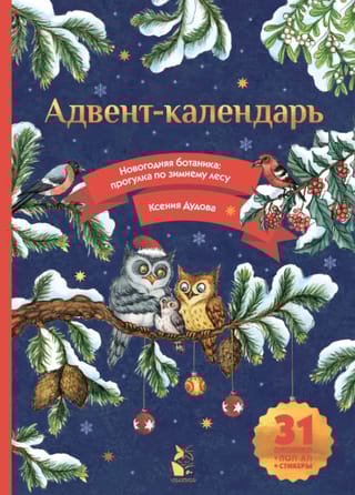 Адвент-календарь. Новогодняя ботаника: прогулка по зимнему лесу