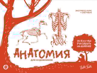 Анатомия для художников. Экспресс-курс + скетчбук