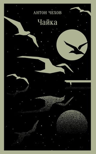 Чайка