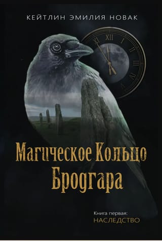Магическое кольцо Бродгара. Книга 1. Наследство