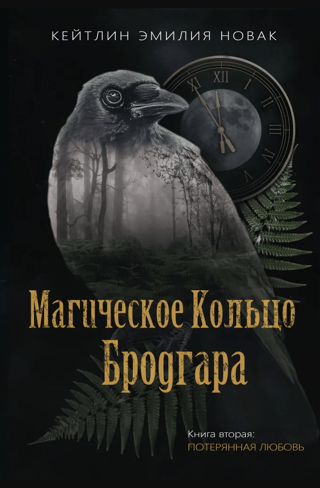 Магическое кольцо Бродгара. Книга 2. Потерянная любовь