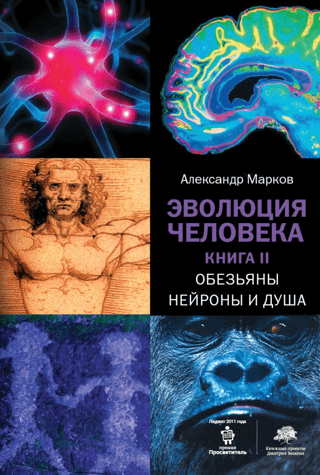 Эволюция человека. Книга II. Обезьяны, нейроны и душа