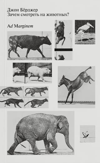 Зачем смотреть на животных?