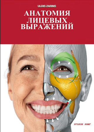 Анатомия лицевых выражений
