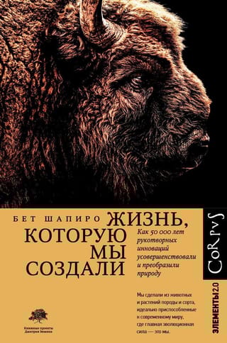 Жизнь, которую мы создали